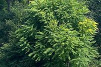 Land in Lincoln County, North Carolina