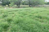 Undeveloped Land in Hamilton County, Texas