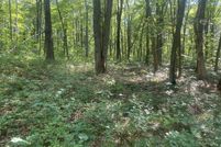 Undeveloped Land in Litchfield County, Connecticut