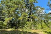 Timberland Property in Amite County, Mississippi