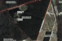 Undeveloped Land in Orangeburg County, South Carolina