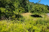 Undeveloped Land in Coos County, Oregon