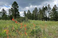 Undeveloped Land in Coconino County, Arizona