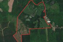 Hunting Property in Halifax County, North Carolina