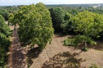 Timberland Property in Smith County, Texas