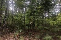 Undeveloped Land in Douglas County, Wisconsin