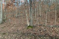 Homesite in Carroll County, Arkansas