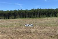Undeveloped Land in Sabine Parish, Louisiana