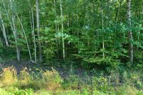 Homesite in Washington County, Minnesota