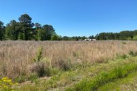 Undeveloped Land in Horry County, South Carolina