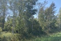 Undeveloped Land in Sanilac County, Michigan