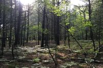 Commercial Property in Lewis County, New York