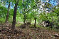 Undeveloped Land in Lee County, Virginia
