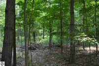 Undeveloped Land in Kalkaska County, Michigan