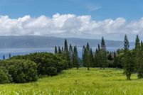 Undeveloped Land in Maui County, Hawaii