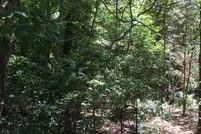 Undeveloped Land in Smith County, Texas