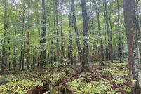 Undeveloped Land in Sawyer County, Wisconsin
