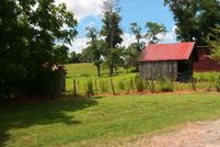 Undeveloped Land in Gilmer County, Georgia