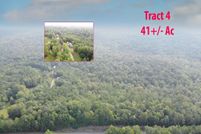 Hunting Property in Clay County, Alabama