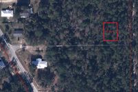 Undeveloped Land in Putnam County, Florida