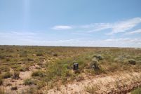 Farm and Ranch in Terry County, Texas