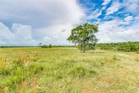 Undeveloped Land in Angelina County, Texas