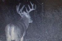 Land in Athens County, Ohio