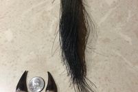 Hunting Property in Meigs County, Ohio