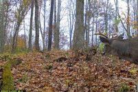 Hunting Property in Washington County, Ohio