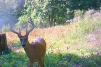 Undeveloped Land in Lawrence County, Ohio