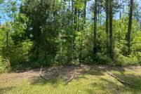Undeveloped Land in Gulf County, Florida