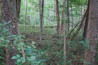 Timberland Property in Meigs County, Ohio