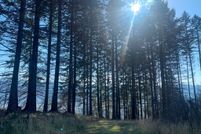 Land in Marion County, Oregon