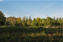 Undeveloped Land in Otter Tail County, Minnesota