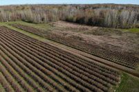Farm and Ranch in Van Buren County, Michigan