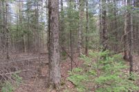 Timberland Property in Warren County, New York