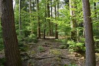 Timberland Property in Oswego County, New York