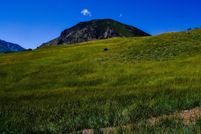 Farm and Ranch in Carbon County, Montana