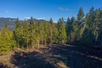 Undeveloped Land in Lane County, Oregon