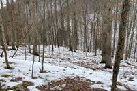 Farm and Ranch in Greene County, Pennsylvania