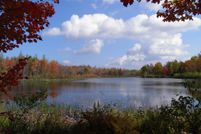 Undeveloped Land in Clinton County, New York