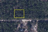 Undeveloped Land in Putnam County, Florida