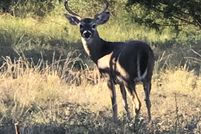 Recreational Property in Schleicher County, Texas