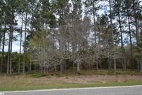 Undeveloped Land in Baldwin County, Alabama