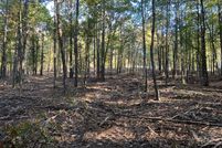 Recreational Property in Saline County, Arkansas