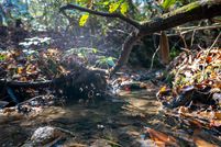 Undeveloped Land in Henderson County, North Carolina
