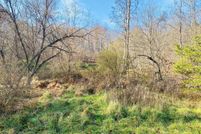Undeveloped Land in Morgan County, West Virginia