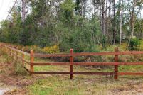 Undeveloped Land in Calcasieu Parish, Louisiana