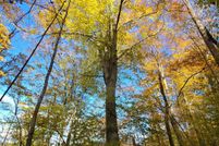 Land in Clarke County, Virginia