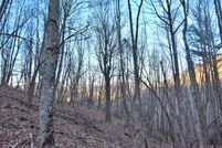 Undeveloped Land in Ashe County, North Carolina